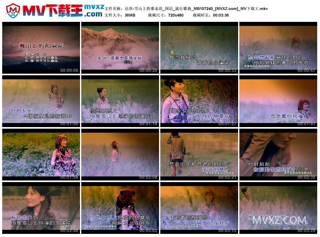 达珍-雪山上的那朵花_国语_流行歌曲_MB107240